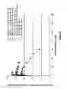 Fig. 08 - Administration of alpha4beta7 hetero-dimer-specific antibody