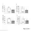Fig. 06 - Pharmaceutical composition for the treatment of type-1 diabetes