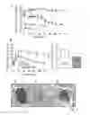 Fig. 07 - Pharmaceutical composition for the treatment of type-1 diabetes