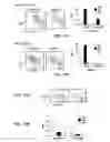 Fig. 09 - THERAPEUTIC APPLICATIONS OF ACTIVATION OF HUMAN ANTIGEN-PRESENTING CELLS THROUGH DECTIN-1
