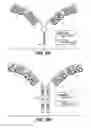 Fig. 06 - Multivalent antibodies and uses therefor