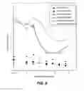 Fig. 12 - Multivalent antibodies and uses therefor