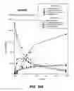 Fig. 13 - Multivalent antibodies and uses therefor
