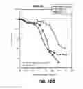 Fig. 22 - Multivalent antibodies and uses therefor