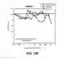 Fig. 23 - Multivalent antibodies and uses therefor
