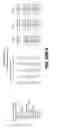 Fig. 59 - Multivalent antibodies and uses therefor