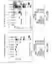 Fig. 75 - Multivalent antibodies and uses therefor