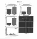 Fig. 09 - NEURODEGENERATIVE DISEASES AND METHODS OF MODELING