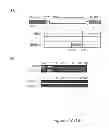 Fig. 02 - MIC-BINDING ANTIBODIES AND METHODS OF USE THEREOF