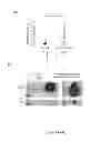 Fig. 05 - MIC-BINDING ANTIBODIES AND METHODS OF USE THEREOF