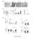 Fig. 06 - MIC-BINDING ANTIBODIES AND METHODS OF USE THEREOF