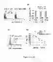 Fig. 09 - MIC-BINDING ANTIBODIES AND METHODS OF USE THEREOF