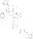 Fig. 296 - Cell proliferation inhibitors and conjugates thereof