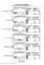 Fig. 15 - Dual specific immunotoxin for brain tumor therapy
