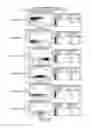 Fig. 20 - Dual specific immunotoxin for brain tumor therapy