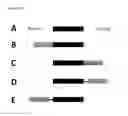Fig. 04 - POLYPEPTIDE ADJUVANT