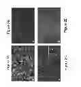 Fig. 03 - METHOD OF INDUCING NEUTRALIZING ANTIBODIES TO HUMAN IMMUNODEFICIENCY VIRUS