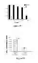 Fig. 04 - METHOD OF INDUCING NEUTRALIZING ANTIBODIES TO HUMAN IMMUNODEFICIENCY VIRUS