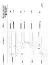 Fig. 08 - METHOD OF INDUCING NEUTRALIZING ANTIBODIES TO HUMAN IMMUNODEFICIENCY VIRUS