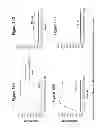 Fig. 20 - METHOD OF INDUCING NEUTRALIZING ANTIBODIES TO HUMAN IMMUNODEFICIENCY VIRUS