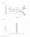 Fig. 02 - Induction of mucosal tolerance to antigens
