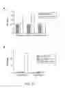Fig. 07 - Modulation of Tissue Transglutaminase Activation in Disease