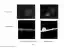 Fig. 08 - Self-assembling peptides incorporating modifications and methods of use thereof