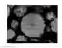 Fig. 02 - Silicone composite particle and a method for preparing the same