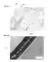 Fig. 07 - Method of forming and the resulting membrane composition for surgical site preservation