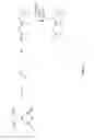 Fig. 02 - Alpha-aminoamidine polymers and uses thereof