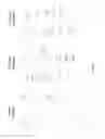Fig. 09 - Alpha-aminoamidine polymers and uses thereof