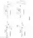 Fig. 33 - Alpha-aminoamidine polymers and uses thereof