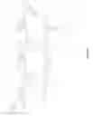 Fig. 37 - Alpha-aminoamidine polymers and uses thereof