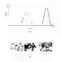Fig. 04 - Particles comprising a releasable dopant therein