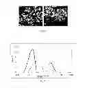 Fig. 05 - Particles comprising a releasable dopant therein
