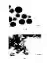 Fig. 07 - Particles comprising a releasable dopant therein