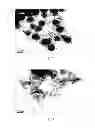 Fig. 08 - Particles comprising a releasable dopant therein