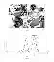Fig. 13 - Particles comprising a releasable dopant therein