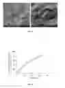 Fig. 08 - Drug delivery system for sustained delivery of bioactive agents