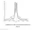 Fig. 03 - CALCIPOTRIOL MONOHYDRATE NANOCRYSTALS