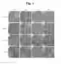 Fig. 02 - HEAT GENERATING NANOMATERIALS