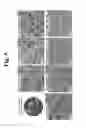 Fig. 06 - HEAT GENERATING NANOMATERIALS