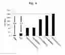 Fig. 07 - HEAT GENERATING NANOMATERIALS