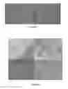 Fig. 06 - Methods for controlling leaf-cutting ants