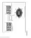 Fig. 04 - NOVEL HEMOSTATIC PATCH AND USES THEREOF