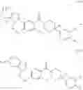 Fig. 48 - HETEROCYCLIC MODULATORS OF LIPID SYNTHESIS