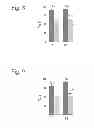 Fig. 07 - Method and device for attracting blood-sucking arthropods