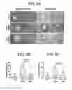 Fig. 14 - PREPARATION AND COMPOSITIONS OF HIGHLY BIOAVAILABLE ZEROVALENT SULFUR AND USES THEREOF