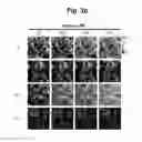Fig. 05 - hTRPA1-activating composition and use thereof