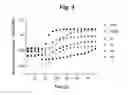 Fig. 07 - hTRPA1-activating composition and use thereof